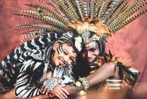 Exotic Stage 1 (1)