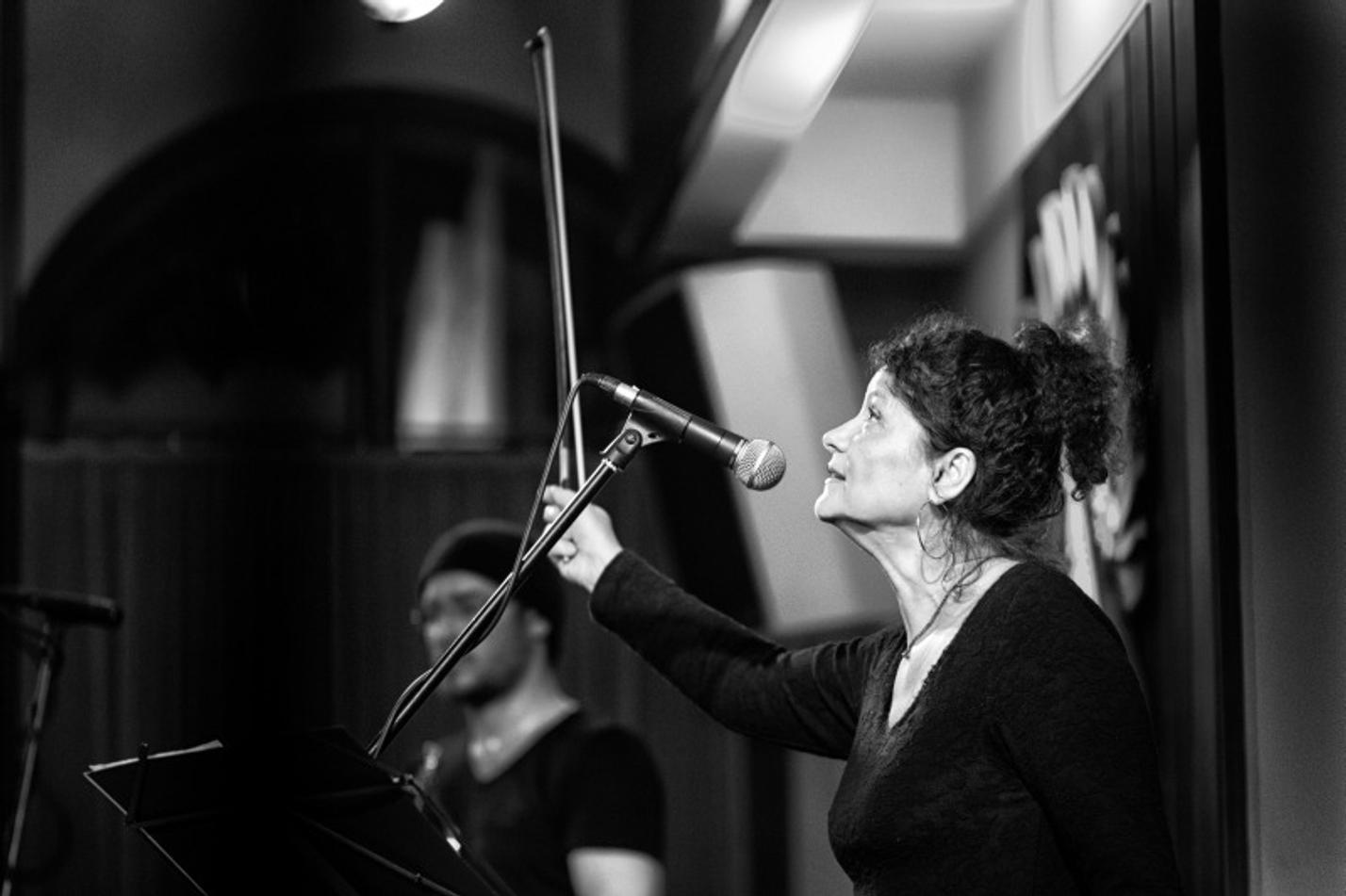 044IvaBittova