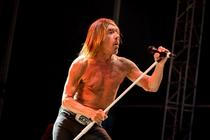 25_Iggy_Pop_Metronome_2016_Praha
