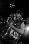 Too Many Zooz