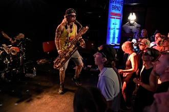 Too Many Zooz