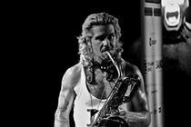 Too Many Zooz