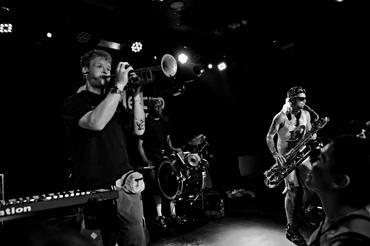 Too Many Zooz