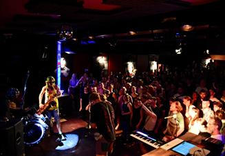 Too Many Zooz
