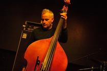 Red Snapper-11