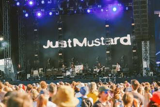 Just Mustard