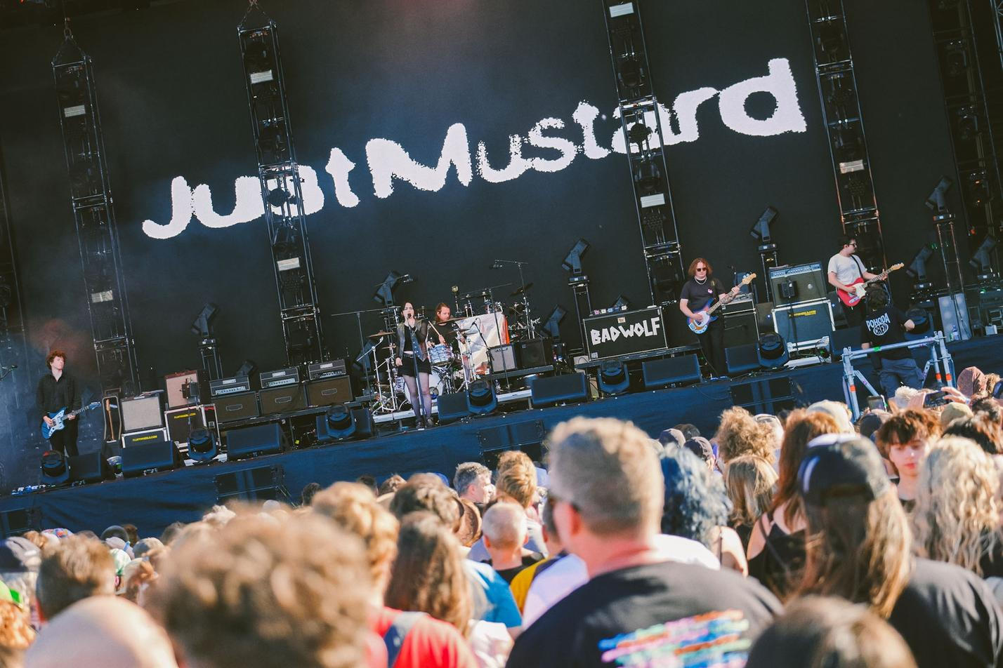 Just Mustard