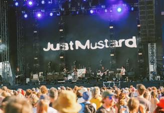 Just Mustard