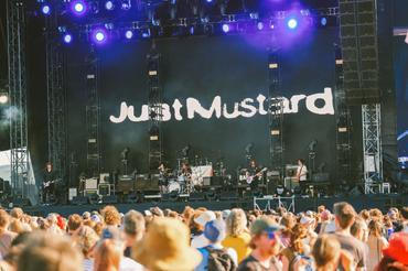 Just Mustard