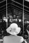 Pohoda Festival 2026