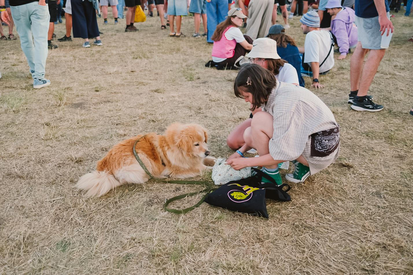 Pohoda festival 2026