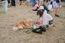 Pohoda festival 2026