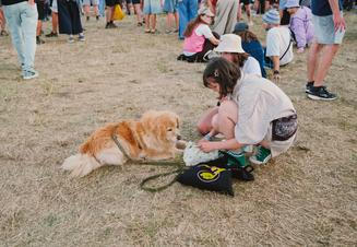 Pohoda festival 2026