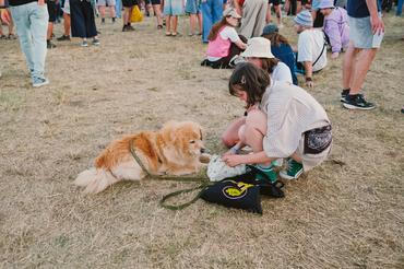Pohoda festival 2026
