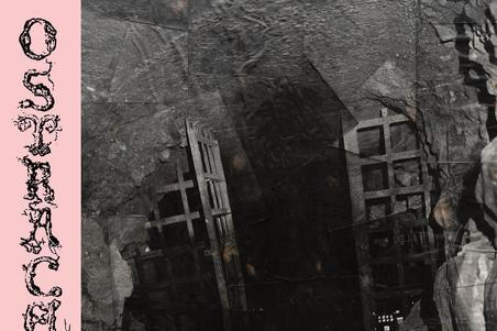 Ostraca