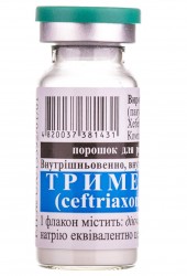 Тримек порошок для раствора для инъекций по 1000 мг во флаконе, 25 шт.