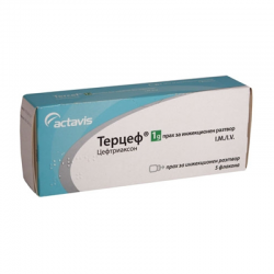 Терцеф порошок для раствора для инъекций по 1 г, флакон, 5 шт.