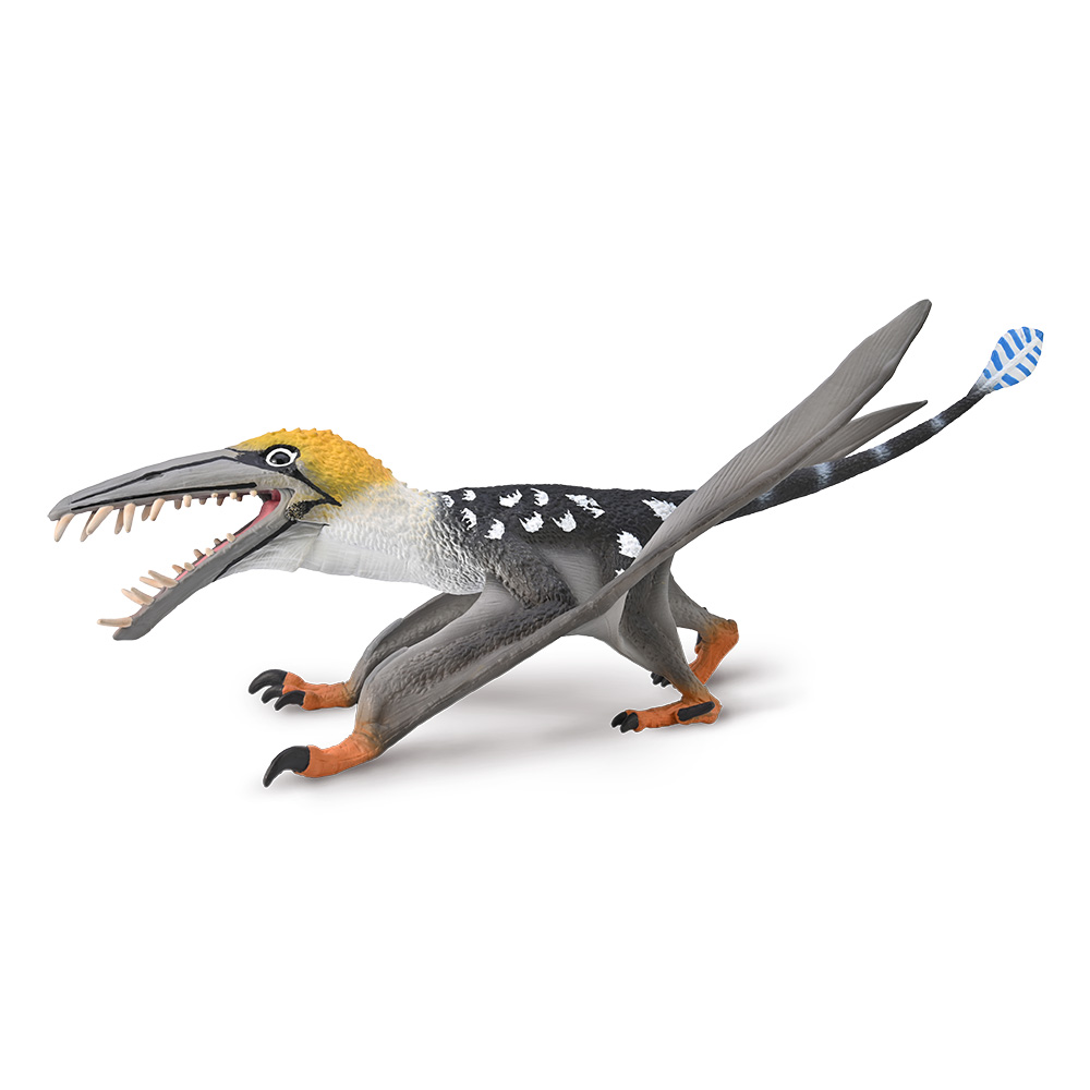 Dearc sgiathanach with moveable Jaw 1:3 Scale