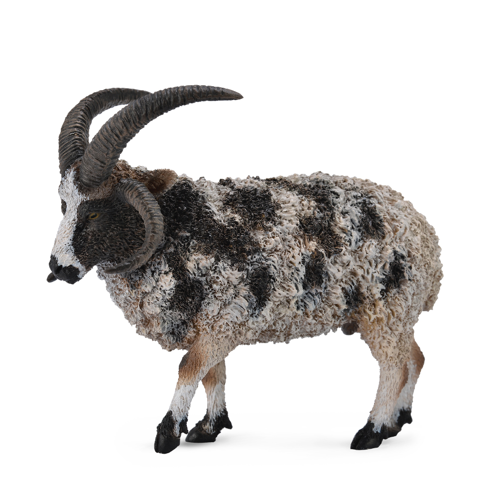 CollectA Jacob Sheep | eBay