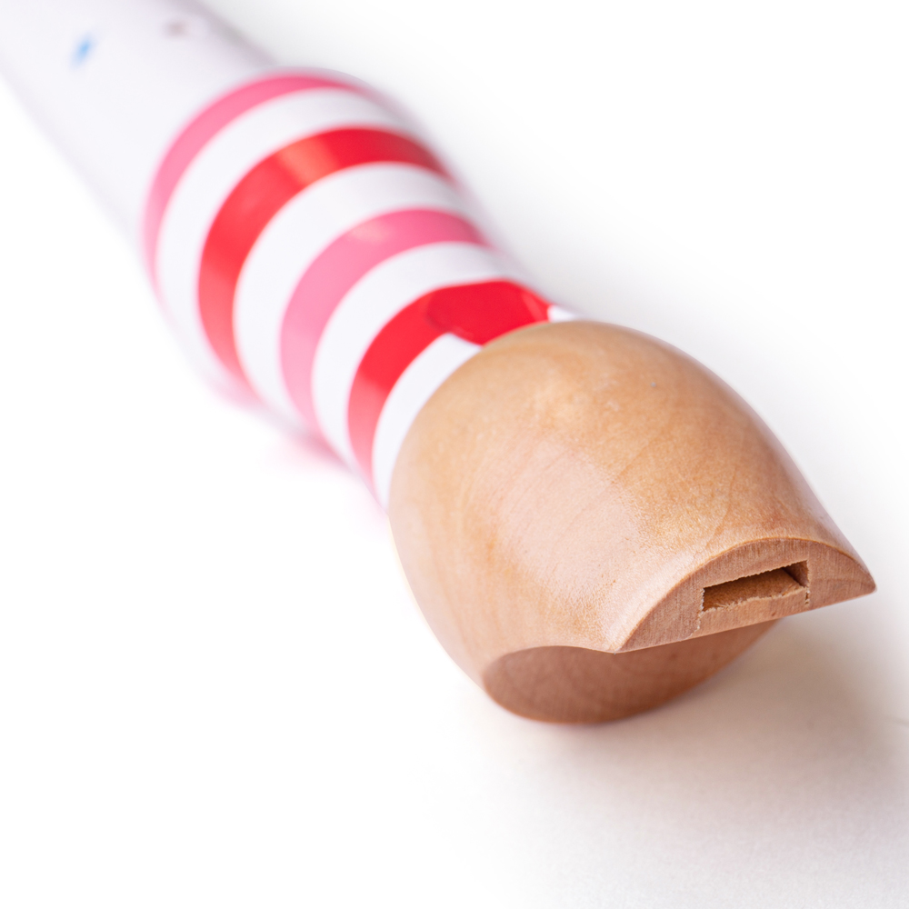 Grabadora de madera para niños Bigjigs Toys, instrumento musical, 4 colores disponibles - Imagen 14 de 19