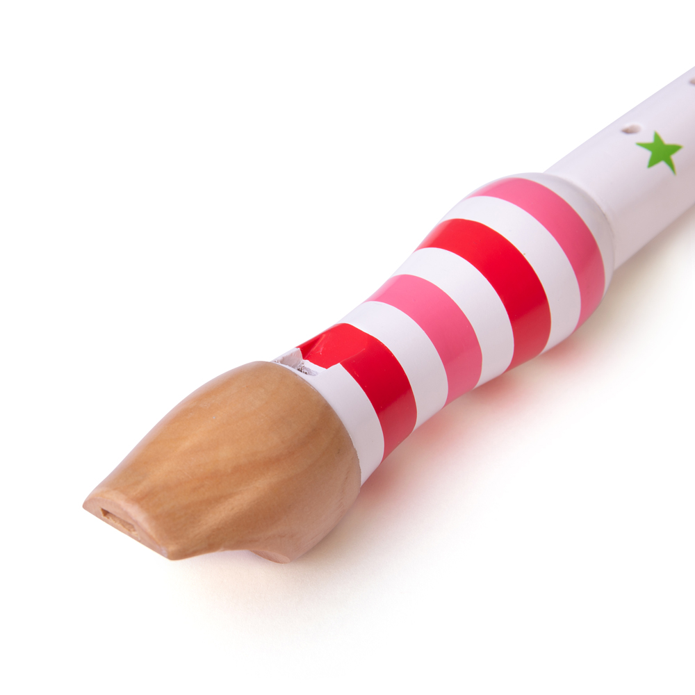 Grabadora de madera para niños Bigjigs Toys, instrumento musical, 4 colores disponibles - Imagen 12 de 19