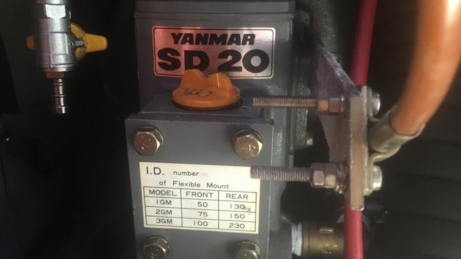 Maestro 35 te koop