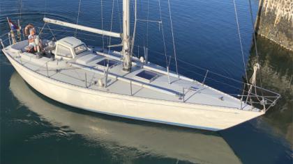 Standfast 40 te koop