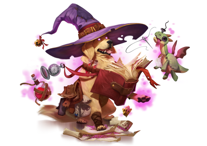 Wizard doggo