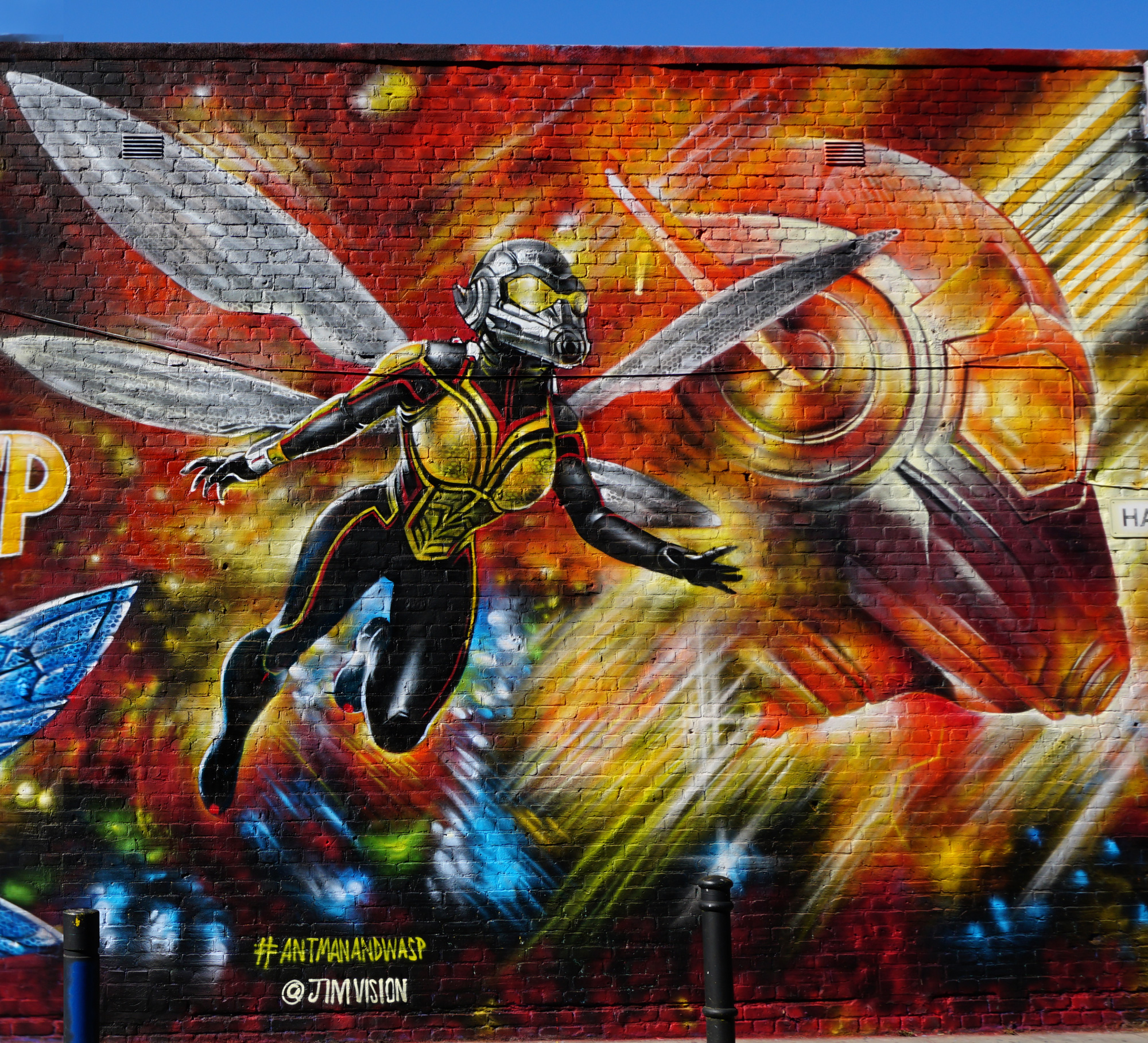 The Wasp