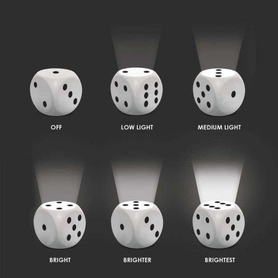 Dice Light instructions
