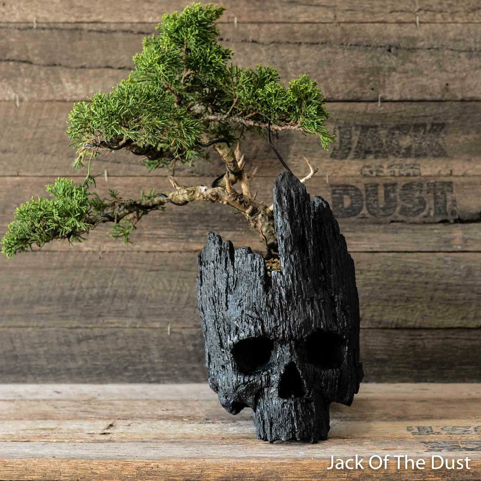 Groot planter