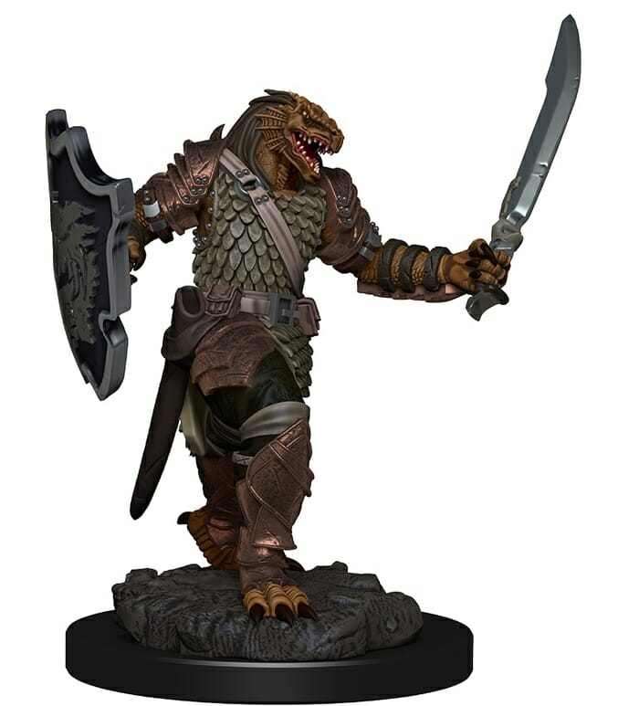 Dragonborn Paladin