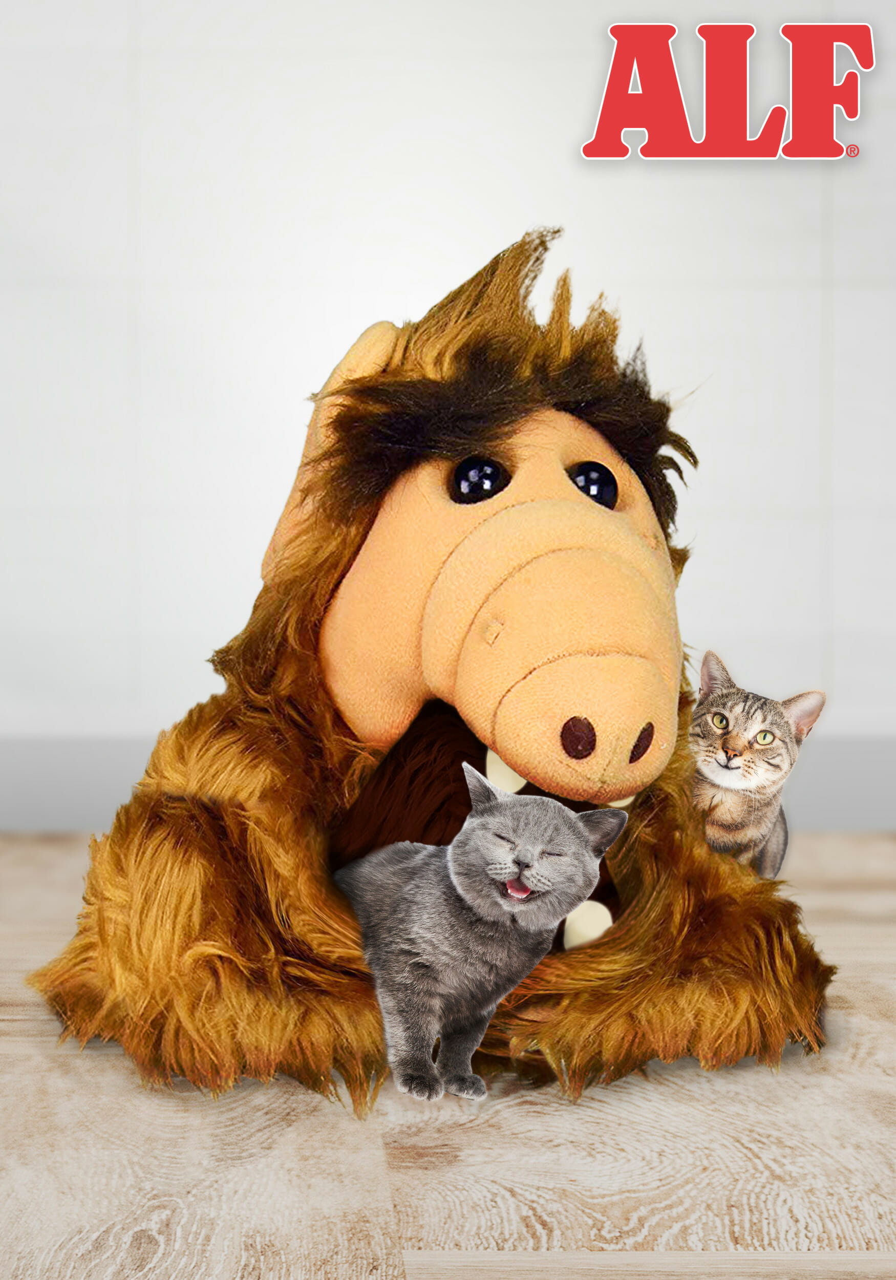 Alf cat bed