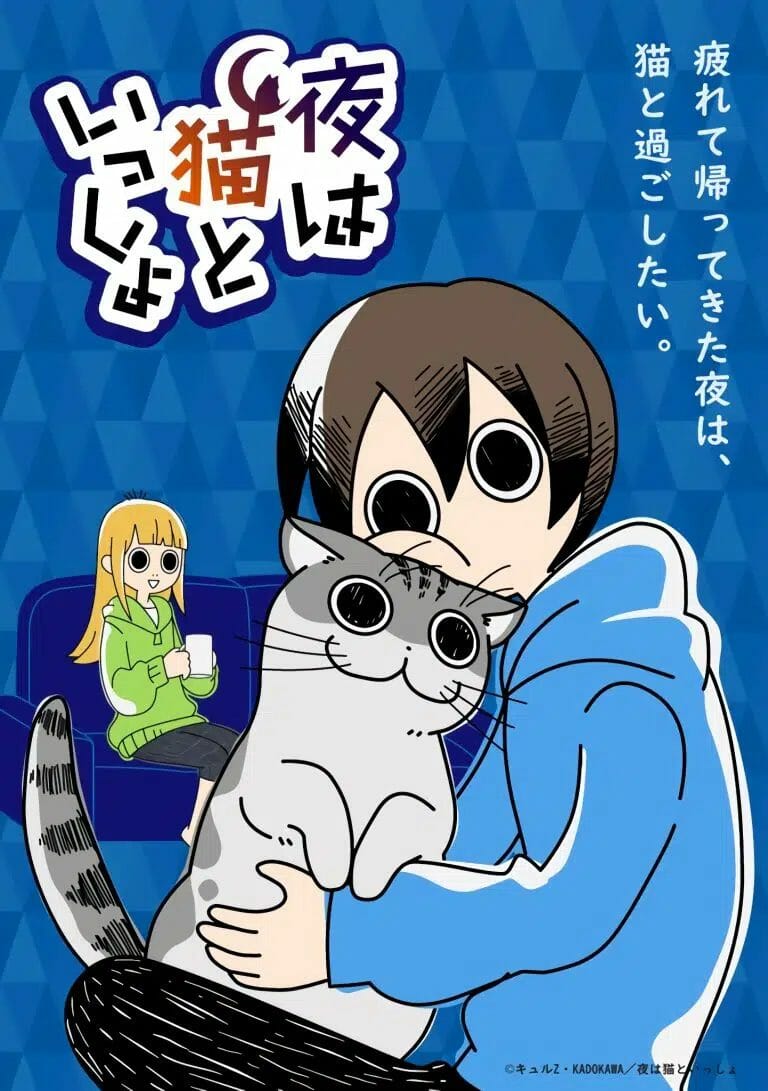 Nights with a Cat