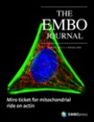The EMBO Journal