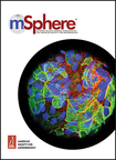 mSphere