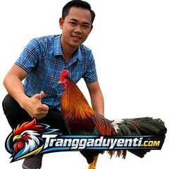 Trại gà Duyên Ti's profile picture