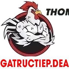 ĐÁ GÀ TRỰC TIẾP  DEALS's profile picture