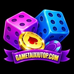 Gametaixiutop com's profile picture