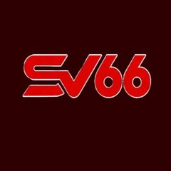 SV66 co's profile picture