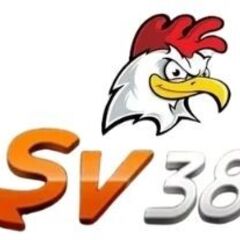 Sv388i io's profile picture
