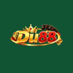 DU88 com's profile picture
