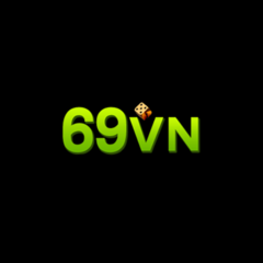 69 VN's profile picture