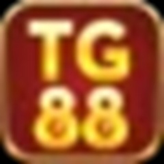 TG 88's profile picture