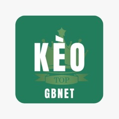 Nhandinhkeonhacai gbnet's profile picture