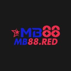 5Mb88  com's profile picture
