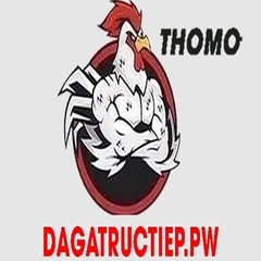dagatructiep PW's profile picture