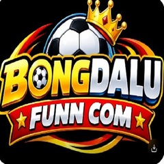 bongdalufunn com's profile picture
