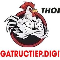 DA GA TRUC TIEP   DIGITAL's profile picture