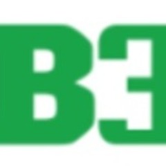B33 net's profile picture